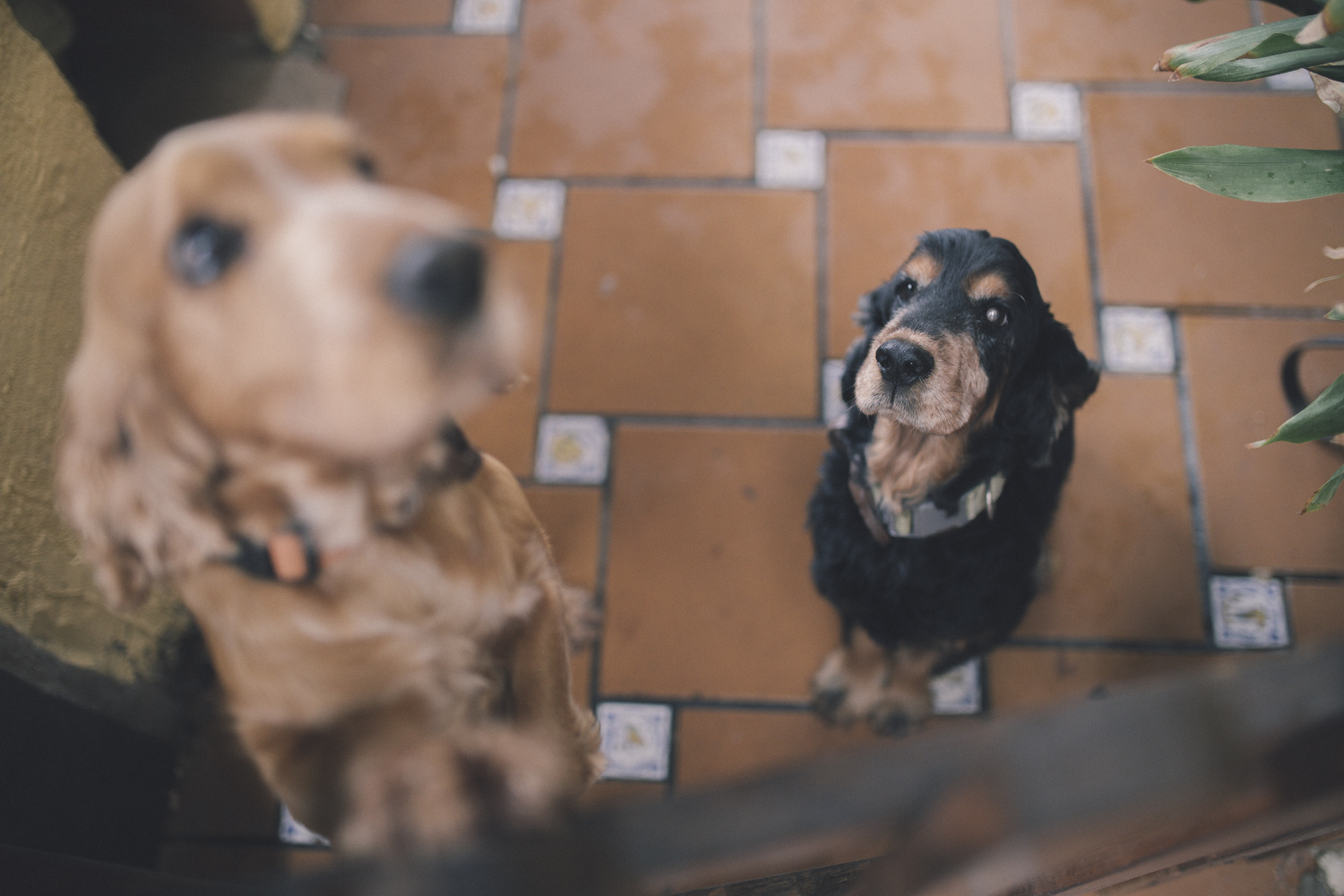 boda-wedding-caceres-extremadura-badajoz-elretratodeisabel-13